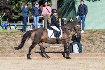 Bild 74 - Pony Akademie Turnier